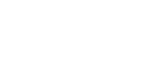 Logo FIMS